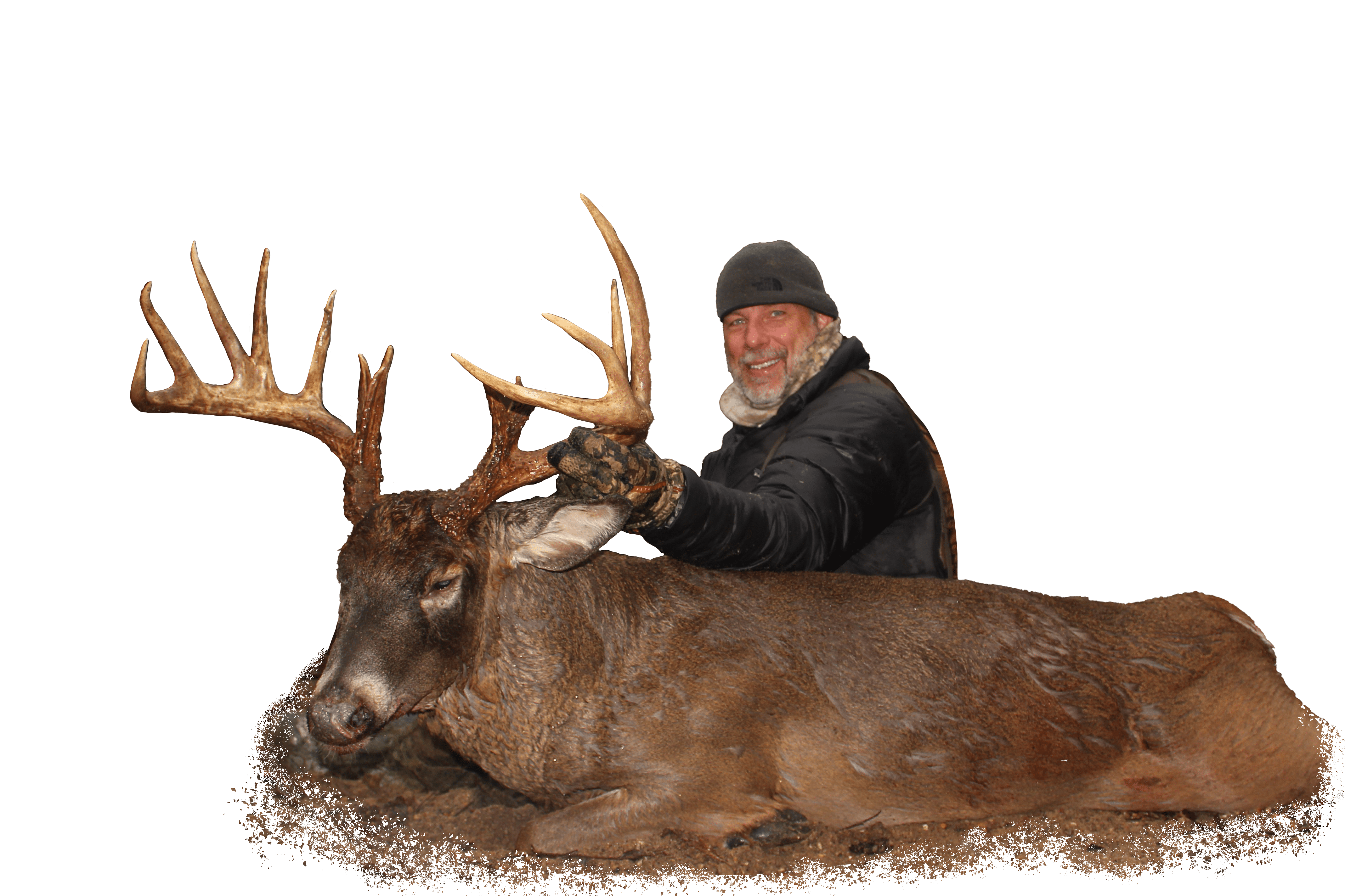 Timberghost — photo 4